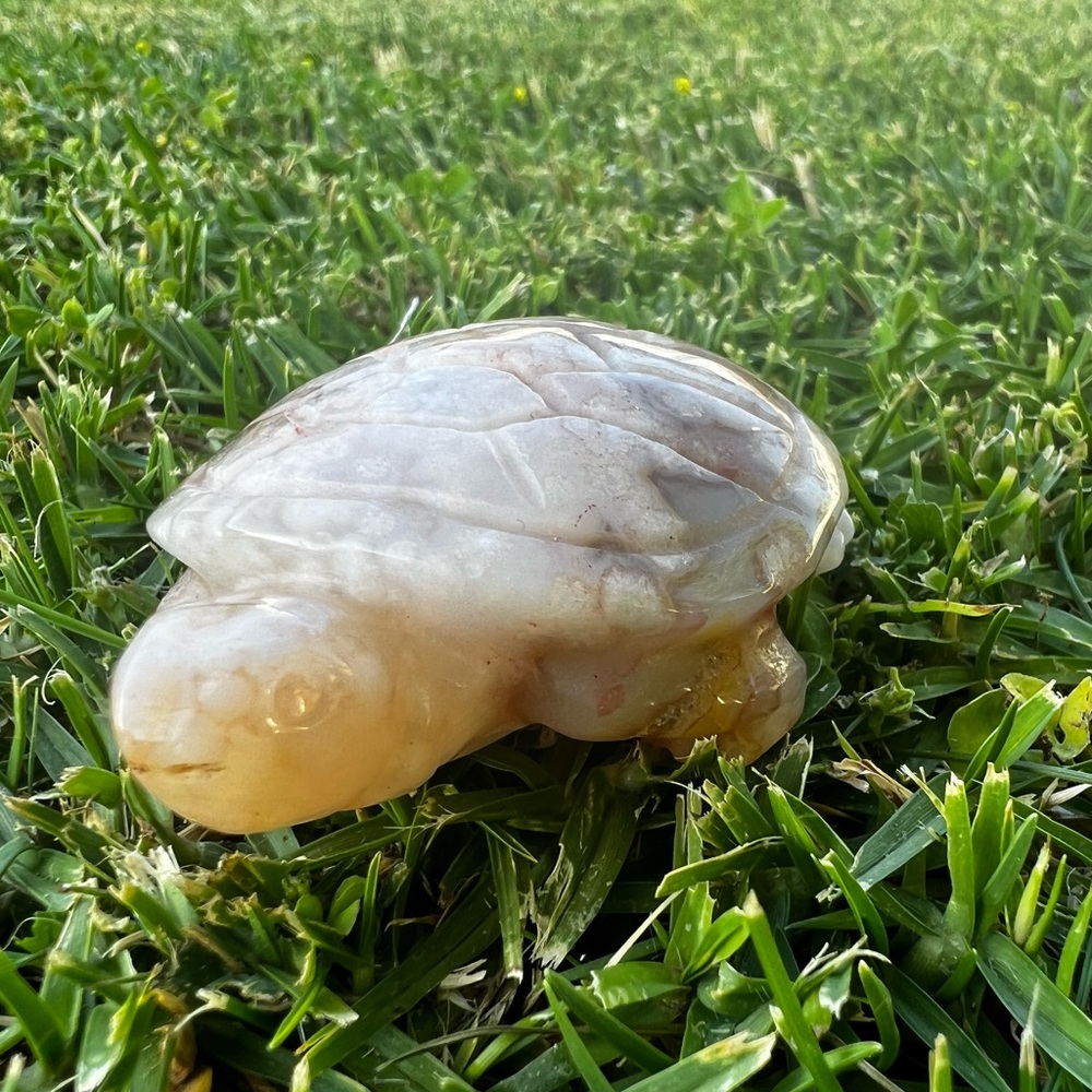 Creamy Orange Pink Flower Agate Turtle Carving - Picture 6 of 6